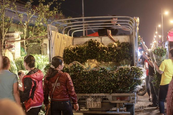 Những xe buôn chở cả thùng hoa liên tiếp đậu bến chợ hoa Quảng Bá trên đường Âu Cơ.