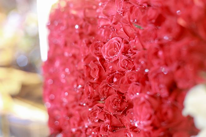 Hoa hồng đỏ được bán chạy nhất với giá từ 10.000 - 12.000 đồng/bông tùy loại.