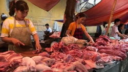 Dấu hiệu nhận biết thịt nhiễm dịch tả lợn châu Phi