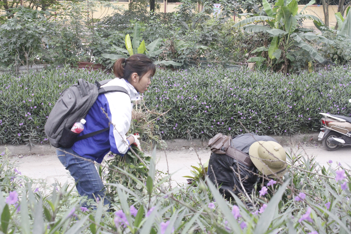 Đoàn viên thanh niên thu gom rác thải, dọn vệ sinh trên đê Nguyễn Khoái