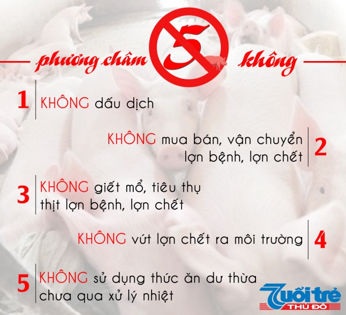 Khuyến cáo 5 không phòng chống dịch tả lợn châu Phi của Bộ Nông nghiệp và Phát triển nông thôn