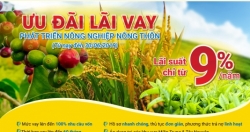 Tín dụng ngân hàng "chảy" vào nông nghiệp