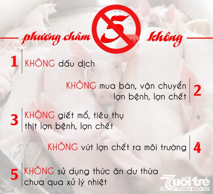 5 KHÔNG để phòng chống dịch tả lợn châu Phi