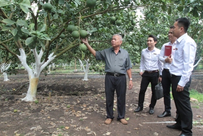 Đồng hành cùng nông nghiệp, nông dân, nông thôn là mục tiêu hoạt động xuyên suốt của Agribank trong hành trình 31 năm phát triển.