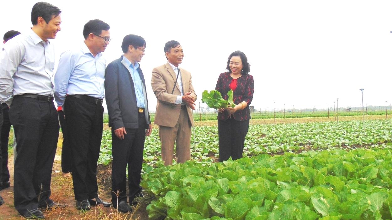 Mê Linh phấn đấu đưa hai xã Tam Đồng, Tự Lập về đích Nông thôn mới