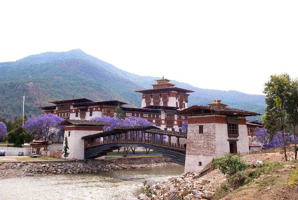 Rừng chiếm tới 70% diện tích của Bhutan, dù ghé thăm bất cứ dịp nào du khách cũng ấn tượng mạnh bởi không gian xanh, tràn ngập các loài hoa đua nở.