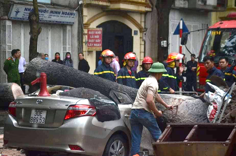 Lực lượng Cảnh sát PCCC và CNCH Công an TP Hà Nội tiến hành cắt cây, giải phóng giao thông