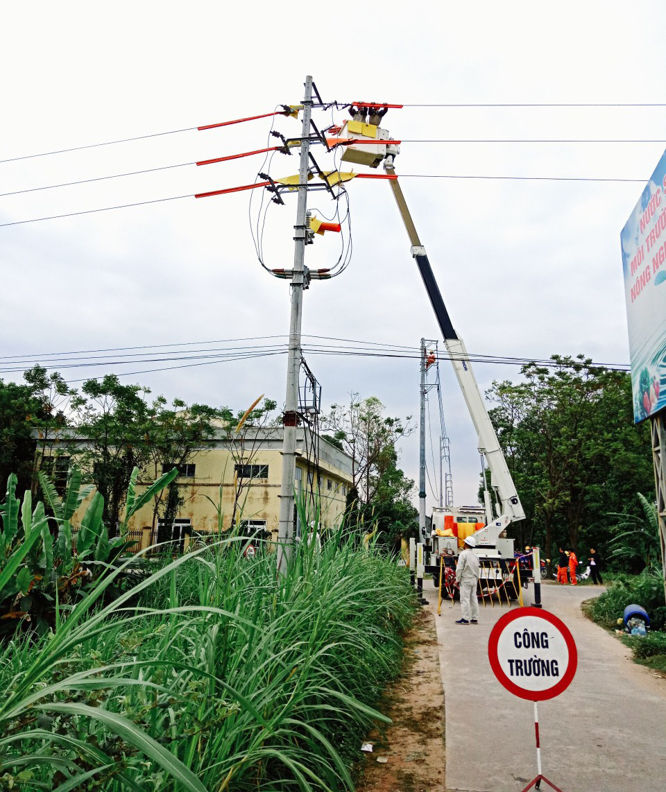 Các thành viên nhóm sửa chữa hotline thao tác kĩ thuật trên lưới điện