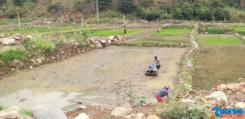 Người dân bản Nặm Păm chăm chỉ cải tạo đất để trồng cấy