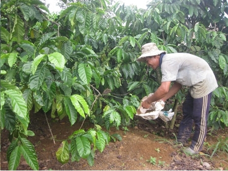 Cơ quan chức năng cần mạnh tay xử lý các nhà sản xuất bất chấp lợi nhuận, gian dối trong kinh doanh, sản xuất VTNN để nông dân yên tâm sản xuất