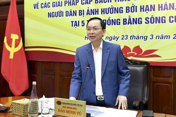 Phó Thống đốc Thường trực Ngân hàng Nhà nước Đào Minh Tú phát biểu tại cuộc họp