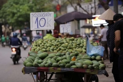 Hà Nội: Xuất hiện những 