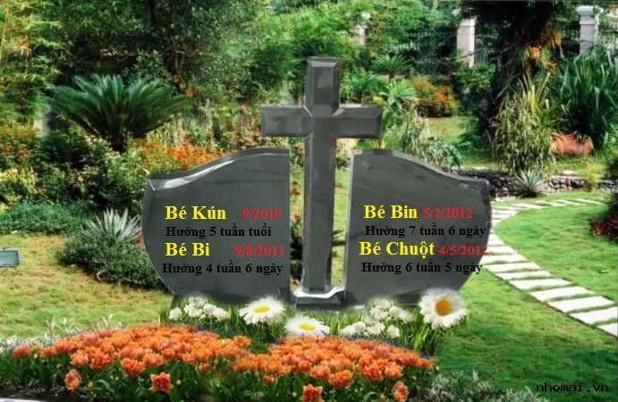 Chốn “xưng tội