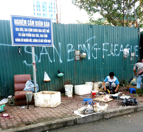 Giết mổ gia cầm sống ngay dưới chân biển cấm