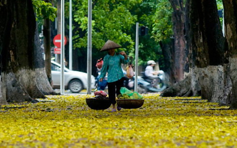 Hà Nội, mùa lá rụng…