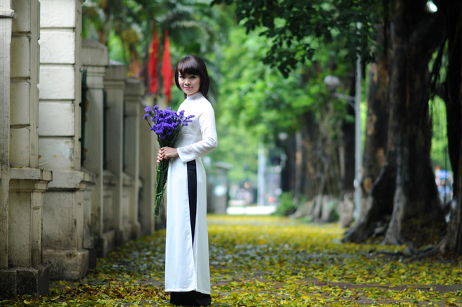 Hà Nội, mùa lá rụng…