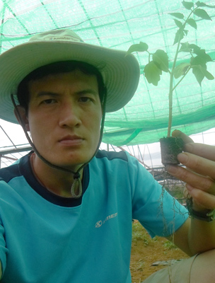 Kiếm tiền tỷ mỗi năm từ cây cà chua