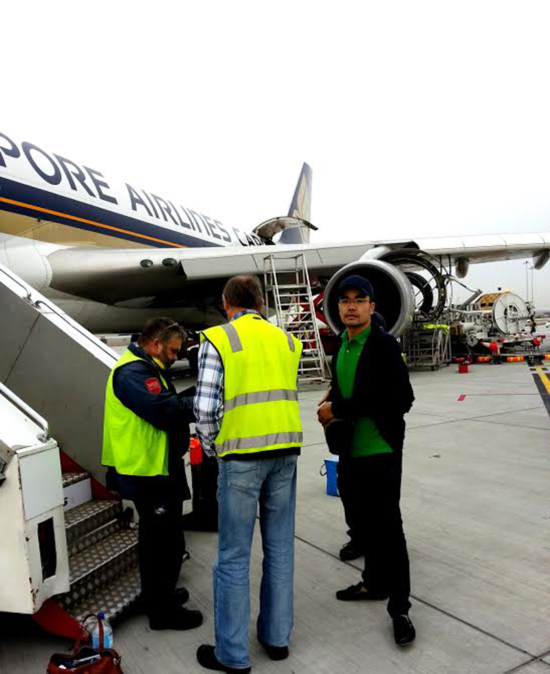 400 con bò tơ Vinamilk nhập từ Úc được đi chuyên cơ về Việt Nam