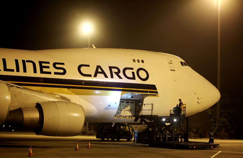 400 con bò tơ Vinamilk nhập từ Úc được đi chuyên cơ về Việt Nam