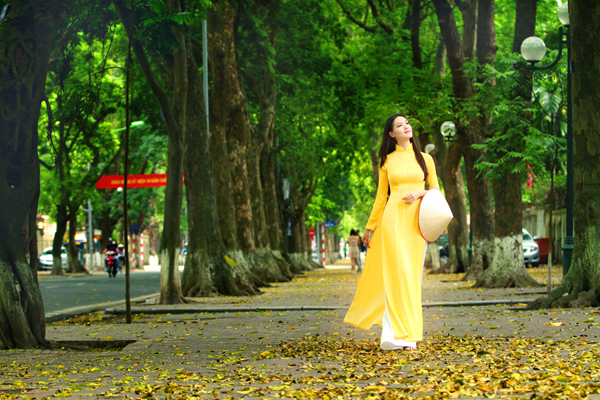 Hà Nội xưa và nay: Xao xuyến - lá khởi vàng!