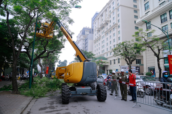 Hà Nội hoàn thành cắt sửa 10.000 cây xanh trước mùa mưa bão
