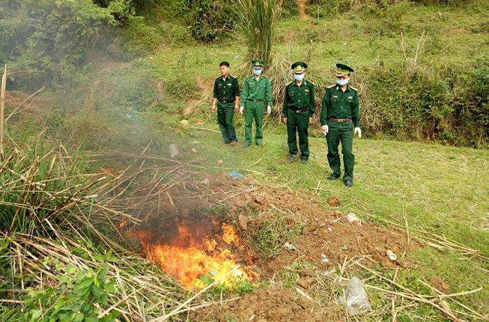 Quảng Ninh: Tiêu hủy gần 200kg gà lậu, không rõ nguồn gốc
