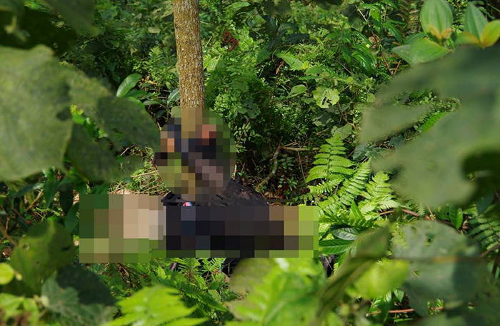 Hà Giang: Bắt khẩn cấp nghi phạm giết người phụ nữ trên đồi chè