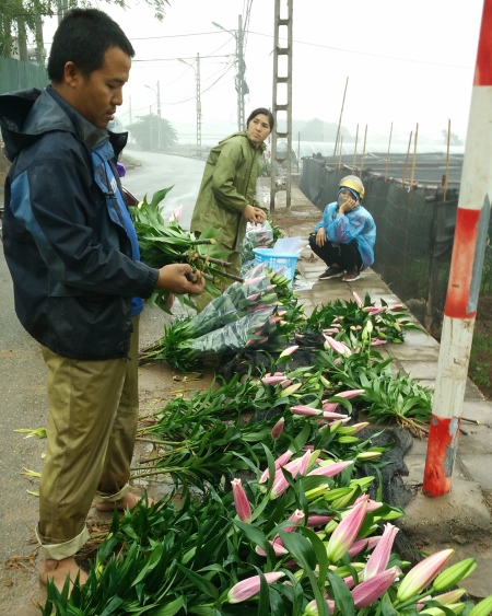 Bảo hiểm xã hội tự nguyện mang đậm tính nhân văn, nhân đạo