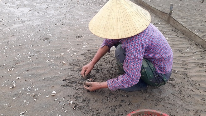 Gia đình bà Hương lo lắng không biết lấy tiền đâu đẻ tái đầu tư nuôi ngao vụ mới, do vụ này ngao chết làm thua lỗ hàng trăm triệu đồng