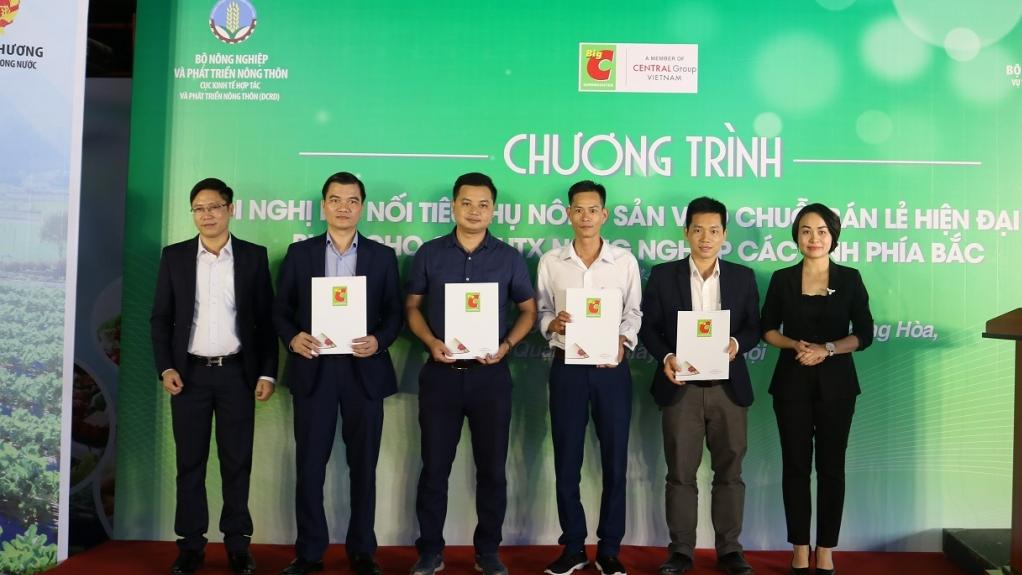 Kết nối tiêu thụ nông sản trực tiếp: Từ vườn cây đến siêu thị