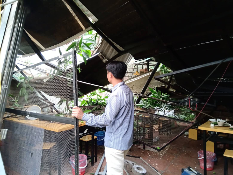 Cành muỗm lớn gẫy, đổ vào quán ăn phố Chùa Láng khiến nhiều người hoảng sợ
