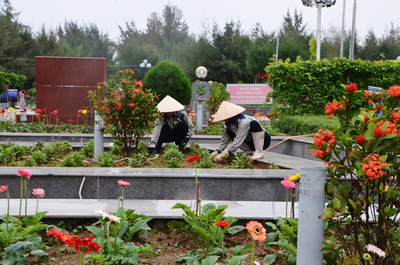 Công ty Trí Lực trồng mới nhiều cây xanh và hoa, tạo công viên hoa phục vụ du khách chụp ảnh miễn phí.