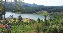 Xử lý dứt điểm vi phạm đất đai trong Khu Du lịch Hồ Tuyền Lâm