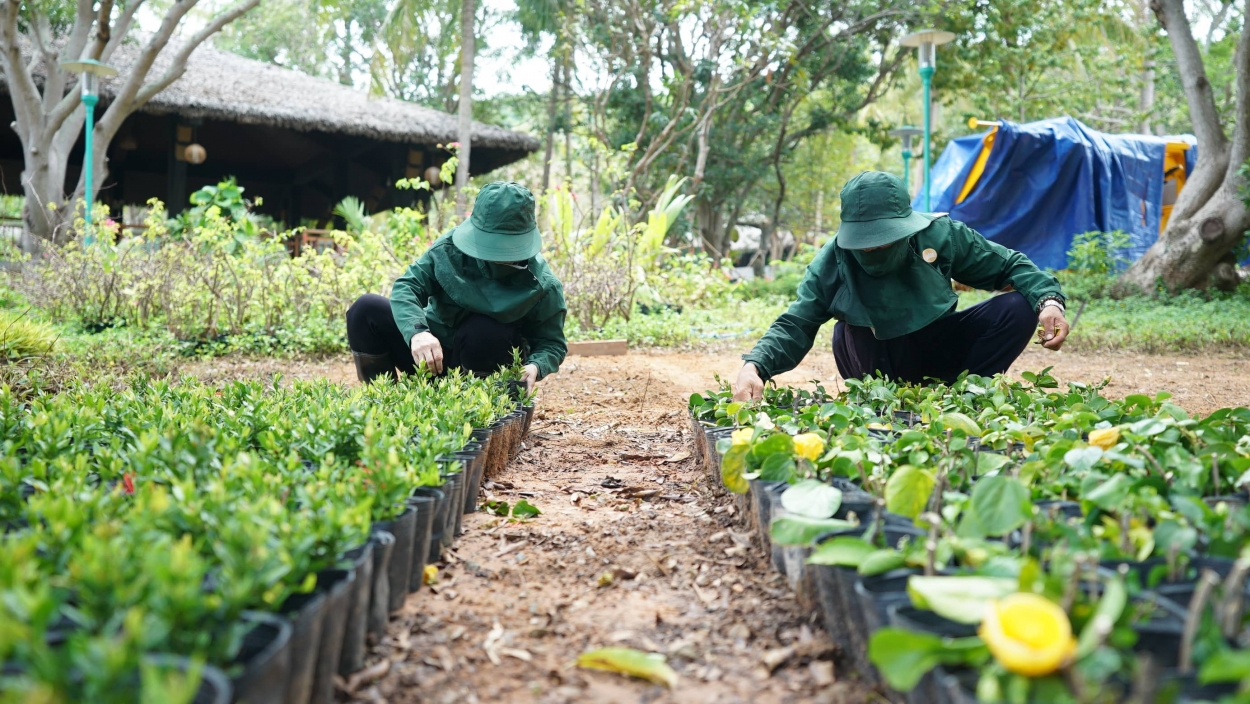 Thiên đường biển nhiệt đới sẵn sàng thức dậy, bạn đã thấy cuồng chân chưa?