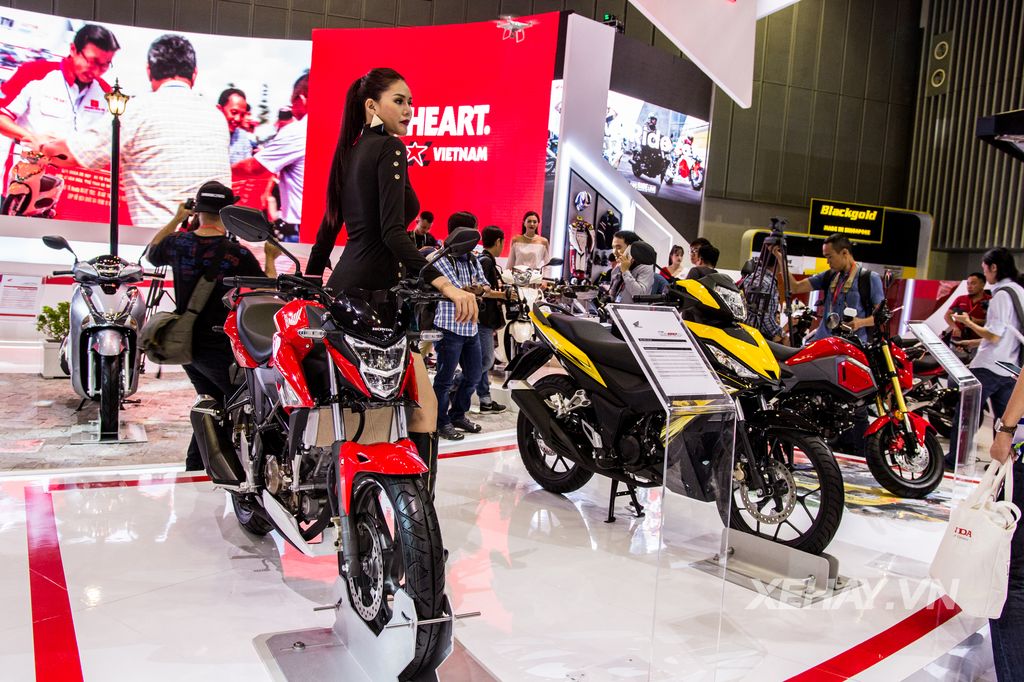 Xe côn tay Honda MSX 125cc phiên bản hoàn toàn mới, giá 50 triệu đồng chính thức trình làng