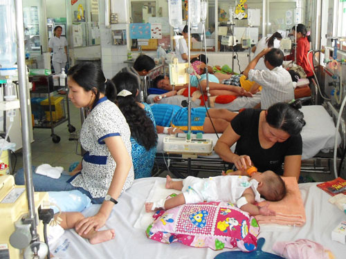 Số người mắc sốt xuất huyết có chiều hướng gia tăng