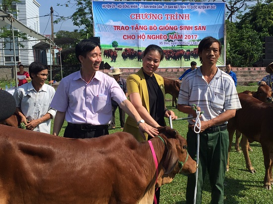 Huyện Mỹ Đức trao tặng bò sinh sản cho 150 hộ nghèo