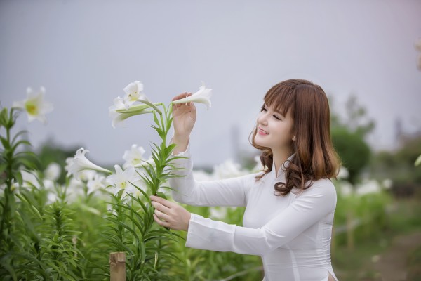 Thiếu nữ Hà thành duyên dáng bên hoa loa kèn