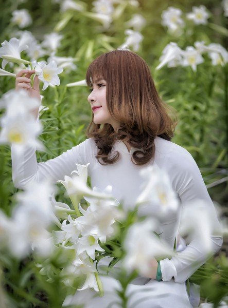 Thiếu nữ Hà thành duyên dáng bên hoa loa kèn