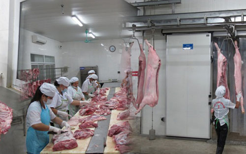 Kiểm tra hệ thống giết mổ, tiêu thụ sản phẩm ngành chăn nuôi lợn