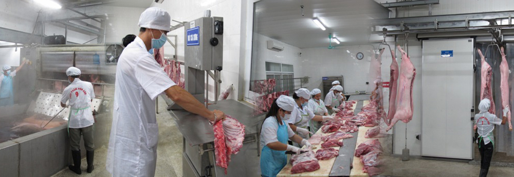 Kiểm tra hệ thống giết mổ, tiêu thụ sản phẩm ngành chăn nuôi lợn