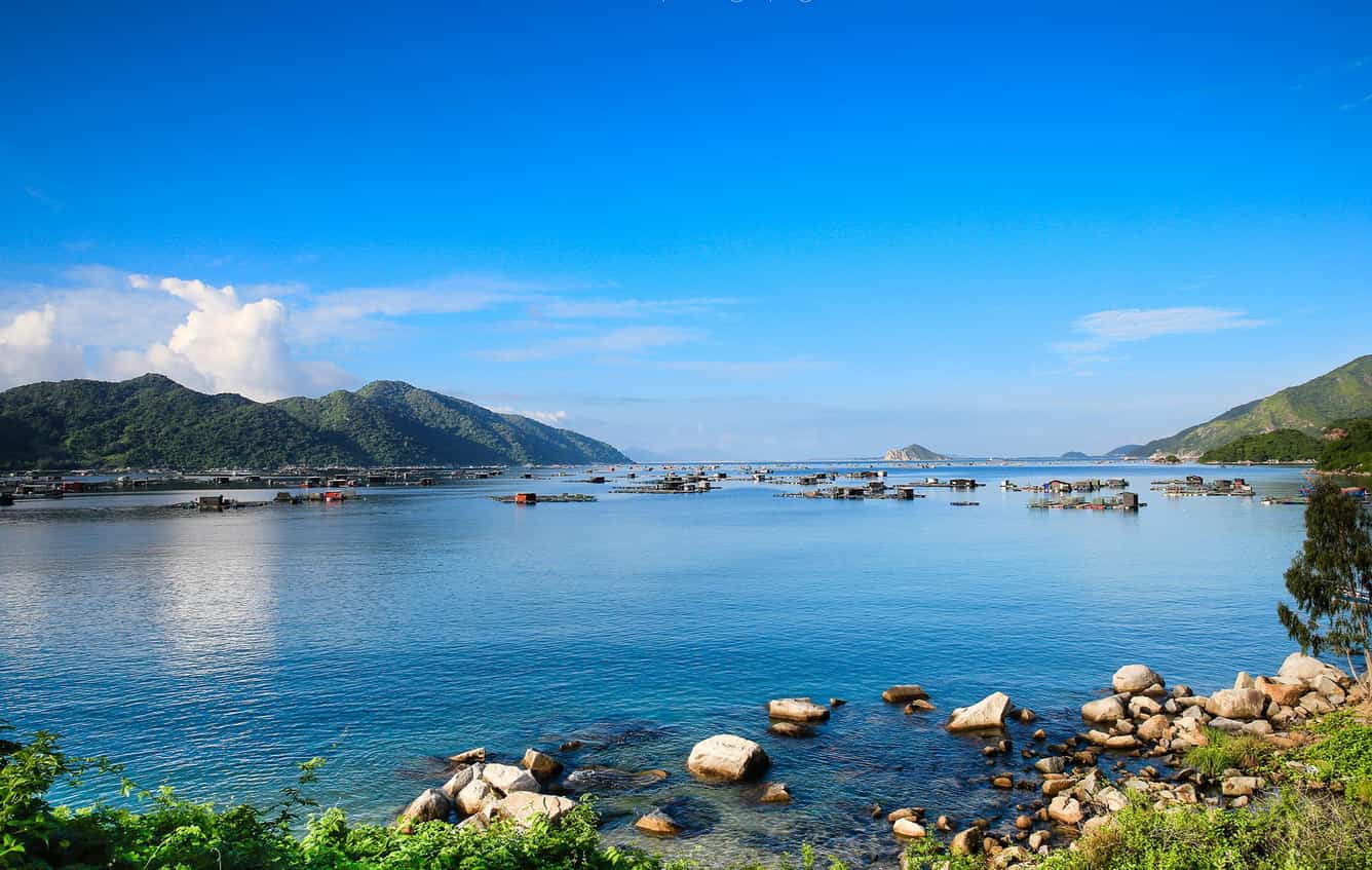 Khai hội vàng - Ngàn ưu đãi cùng 