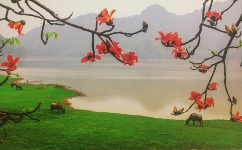 Khai mạc triển lãm ảnh nghệ thuật “Tháng Ba - mùa hoa gạo”