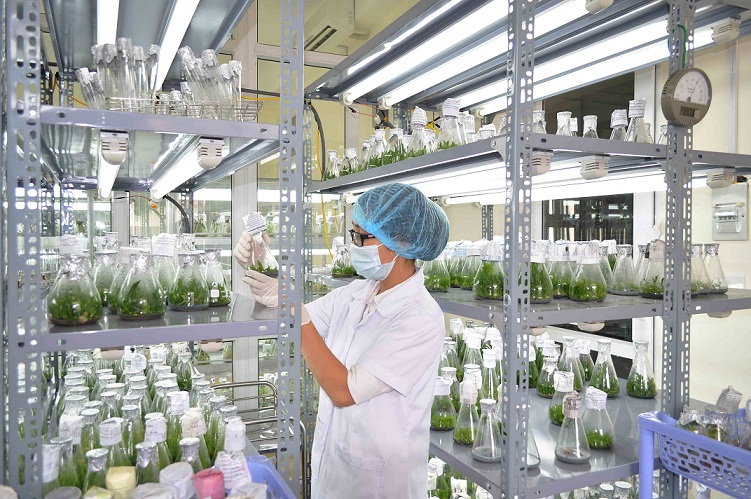 3 đối tượng phải đăng ký cấp Giấy phép tiếp cận nguồn gen