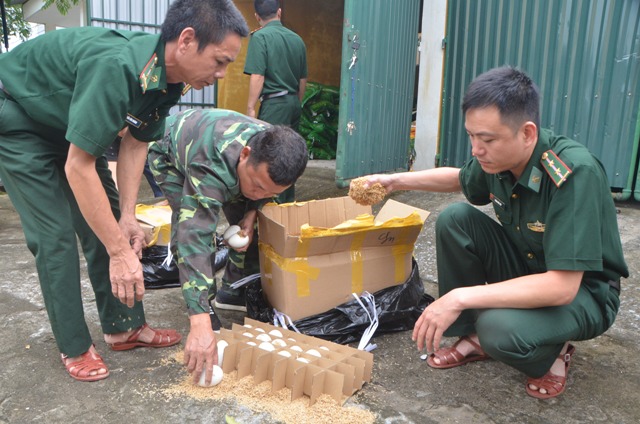 Móng Cái: Bắt vụ vận chuyển 4.200 quả trứng ngỗng từ Trung Quốc về Việt Nam