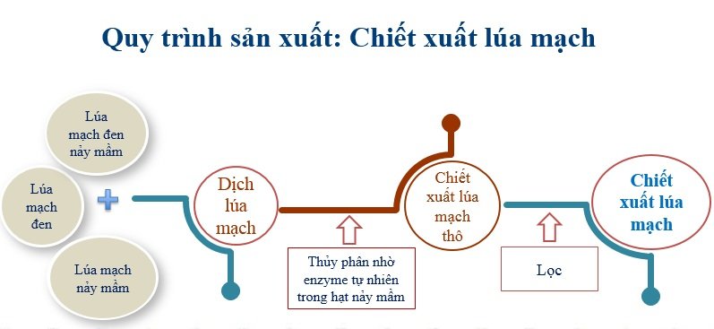 Tận thấy quy trình sản xuất nước giải khát lên men từ lúa mạch TH true MALT