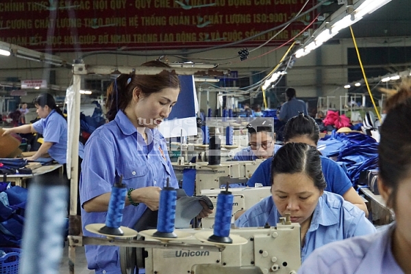Nữ công nhân có đôi bàn tay vàng - Ngô Thị Hạnh