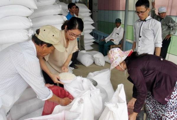 Xuất gạo dự trữ quốc gia cho tỉnh Quảng Bình