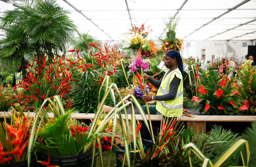 Những công đoạn cuối cùng để chuẩn bị cho RHS Chelsea Flower Show 2019 (21 -25/5). Đây là một vườn trình diễn thực vật được tổ chức tại Chelsea từ năm 1912 trong khuôn viên của Bệnh viện Hoàng gia Chelsea ở Chelsea, London. Nó là chương trình hoa nổi tiếng nhất ở Vương quốc Anh và thu hút du khách từ khắp nơi trên thế giới.