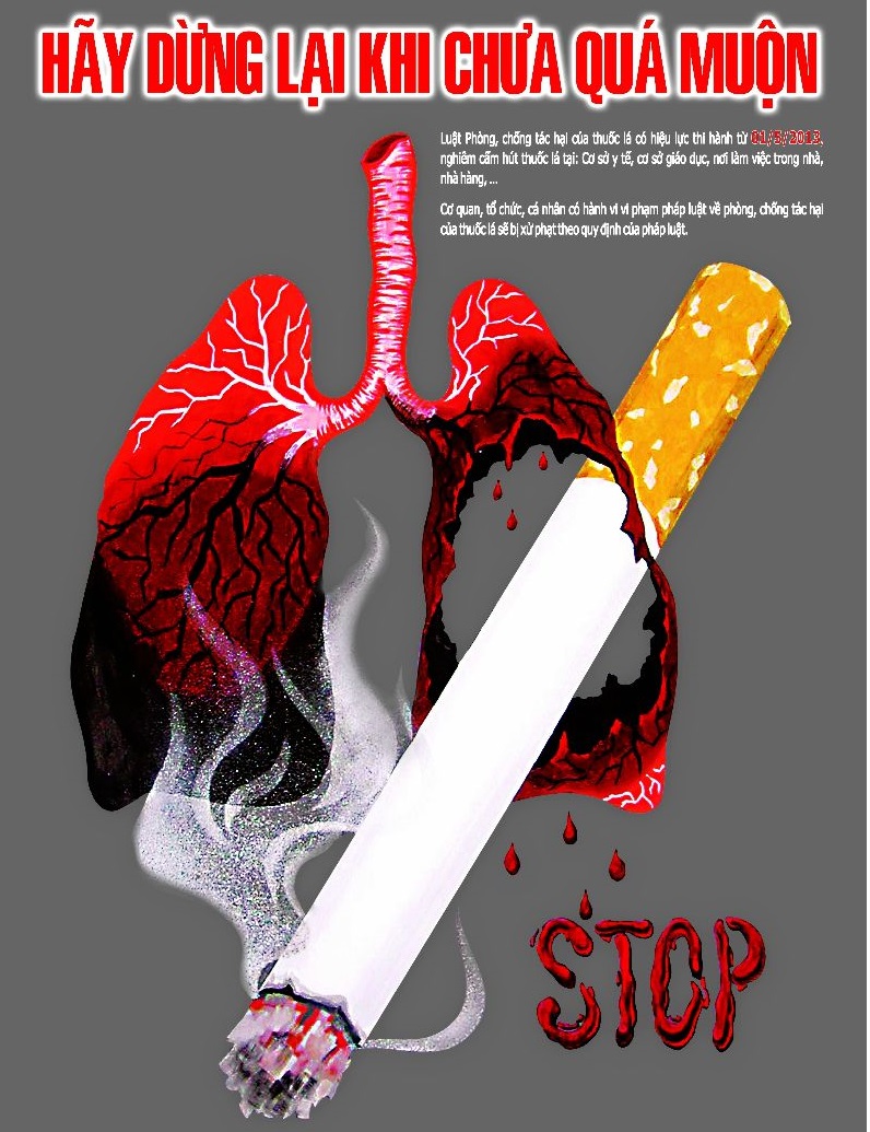 Ngày Thế giới không thuốc lá năm nay, WHO lựa chọn chủ đề “Thuốc lá và các bệnh về phổi” (Ảnh: VINACOSH)